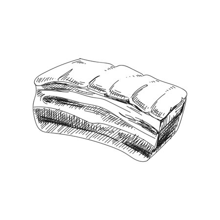 Beautiful vector hand drawn meat products Illustration. Detailed retro style brisket image. Vintage sketch element for labels, packaging and cards design. Modern background.のイラスト素材
