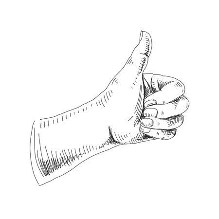 Vector hand drawn hand gestures Illustration. Detailed retro style image. Vintage sketch element for labels, packaging and cards design. Modern background.のイラスト素材