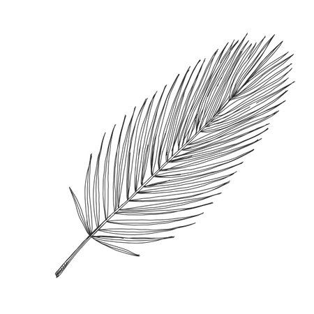 Palm branch, retro hand drawn vector illustration.のイラスト素材