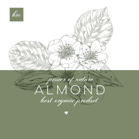 Almond posterのイラスト素材