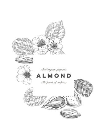 Almond composition posterのイラスト素材
