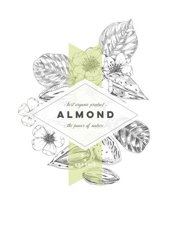 Almond frame posterのイラスト素材