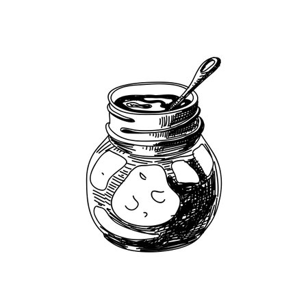 Jam jar hand drawn black and white vector illustrationのイラスト素材