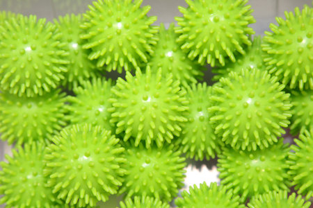 gym fitness massage ball ball for self massage, reflexology and myofascial release,for medical treatment and health.Prickly massage ball with hard lights.の写真素材