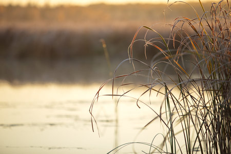 Frosty sunrise