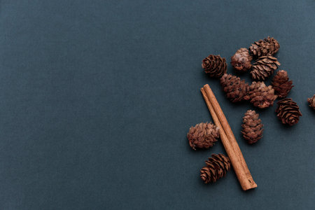 cones and vanilla stickの写真素材