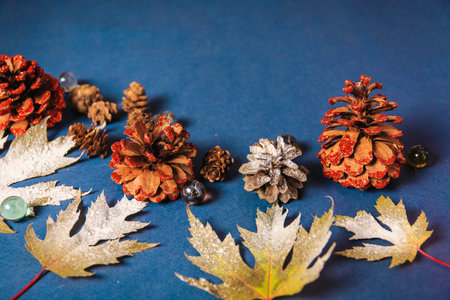 Christmas background shots, leaves on a blue background.