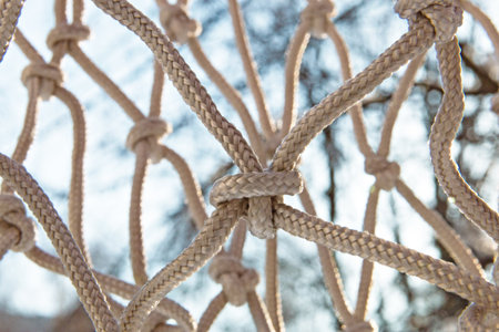 close-up of grid nodes, backgroundの写真素材