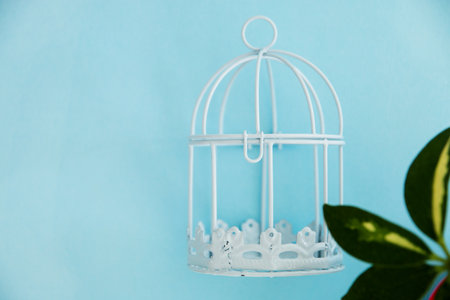 small decorative cage white on a blue background.の写真素材