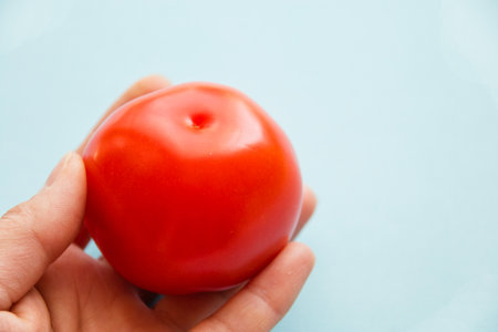 bright red tomato in a female hand on blue background close up.の写真素材