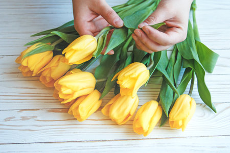 the child's hands hold a yellow Tulip and fold it to a bouquet.の写真素材