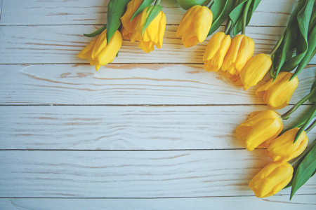 Yellow tulips with green leaves laying in abstract composition on a white wooden background.の写真素材