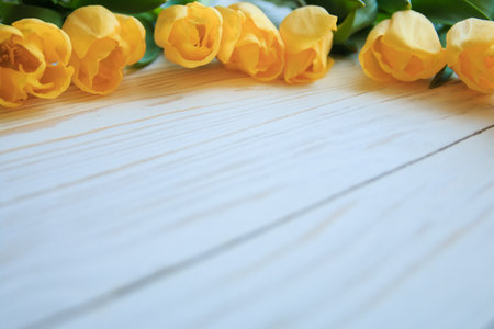 Yellow tulips with green leaves laying in abstract composition on a white wooden background.の写真素材