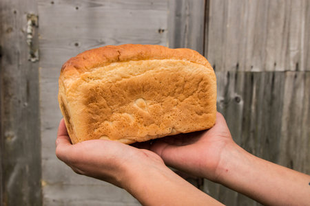 Loaf of wheat bread on hands on wooden background.