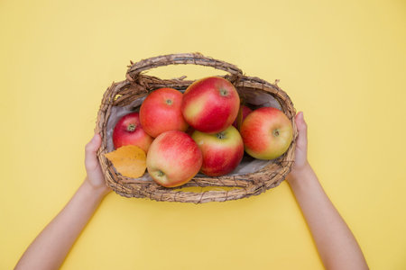 child hands holding basket with red apples on yellow background autumn composition and concept.