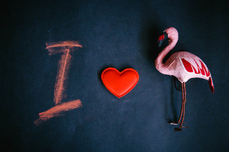 I love the Flamingo, the symbol of the heart of flamingos and the letter I on a dark background.の写真素材