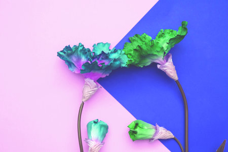 blue and green artificial flowers solitary on a pink and blue background, the top view isolated.の写真素材