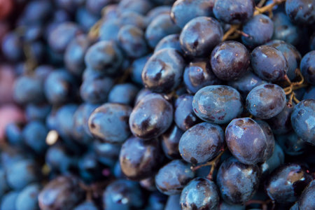 ripe juicy grapes close-up on the market showcase fresh harvest, selective focus.の写真素材
