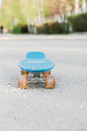 blue children's skateboard in the Park on a Sunny summer day.の写真素材
