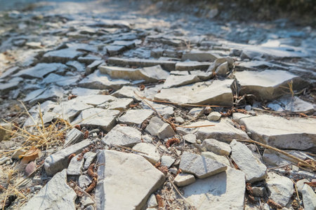 Crushed limestone country road, with various debris. Light grey grunge background.の写真素材