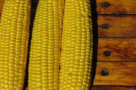 view of the raw home Golden corn cob on the table, selective focus.