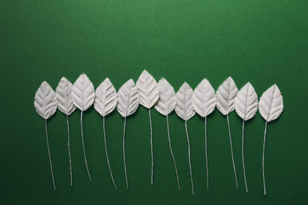 Flatlay from simple little white paper leaves on green background, autumn concept.