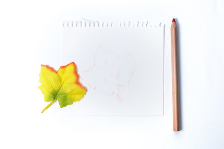 education or drawing, sketching of the concept: a red pencil and a composition of notebook and a...