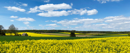 Bright beautiful summer landscape of the countryside and clouds. View of beautiful clouds and a...