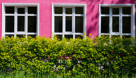 A bright pink building with large Windows surrounded by bright green trees and shrubs.