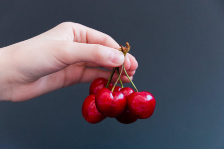 Juicy ripe cherries in hand on a dark background. Selective focus.