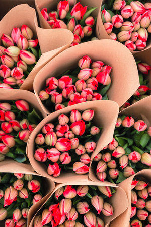 Bouquet of pink tulips close-up, a beautiful bouquet of tulips on the background of nature. Spring landscape. Floral backgroundの写真素材