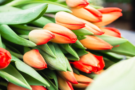 Bouquet of orange tulips close-up, a beautiful bouquet of tulips on the background of nature. Spring landscape. Floral backgroundの写真素材