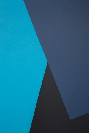 Geometric composition. Black, blue paper. Crossing flowers. Classic colors. Business style.
