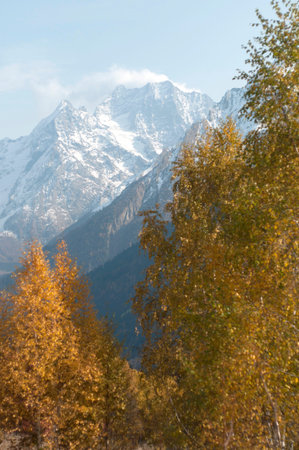 The autumn season in the mountains. Golden trees in the background of snowy mountain peaks.Beautiful...