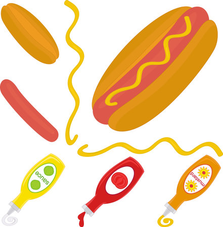 illustration of hot dog and ingredients of hot dogのイラスト素材