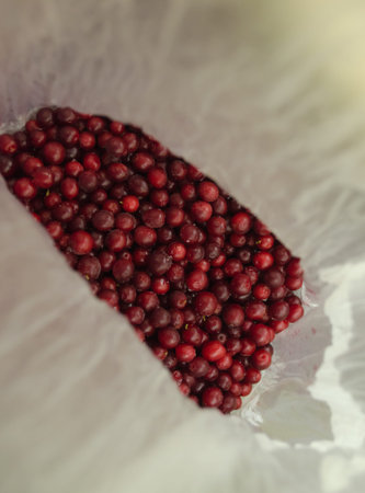 bright red frozen lingonberries in a pie dough
