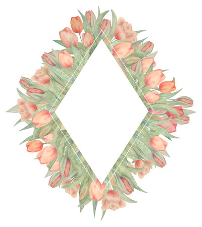 Spring watercolor frame with tulips. Drawn by hand. Ideal for logo, wedding invitations, cards, postersの写真素材