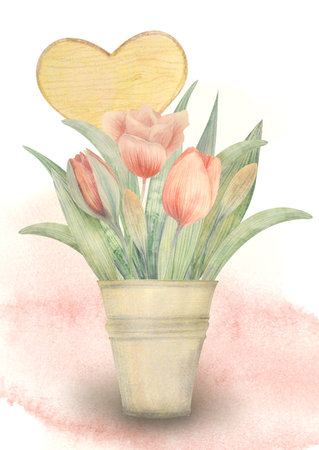 Watercolor hand drawn spring bouquet in in a garden bucket with tulips. For posters, cards, design and logoの写真素材