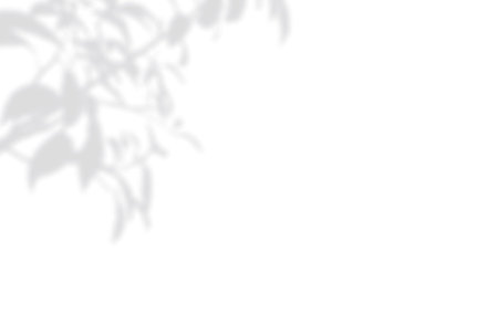 Summer background of shadows branch leaves on a white wall. White and Black for overlaying a photo...
