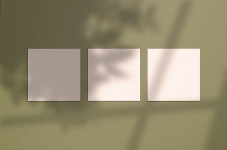 3 square posters on the wall with overlay shadow on green backgroundの写真素材