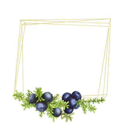 Golden geometric frame with black forest northern berries of the crowberry, painted in watercolor.の写真素材