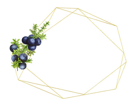 Golden geometric frame with black forest northern berries of the crowberry, painted in watercolor.の写真素材