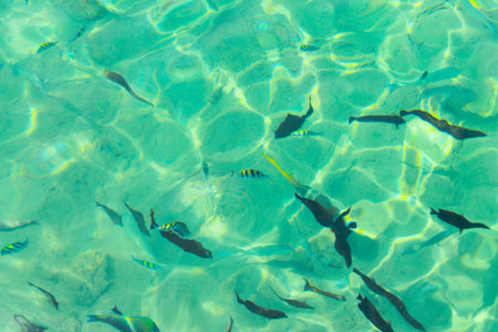 Blue sea water surface. Blue liquid reflections photo wallpaper. Still rippled water of seashore....