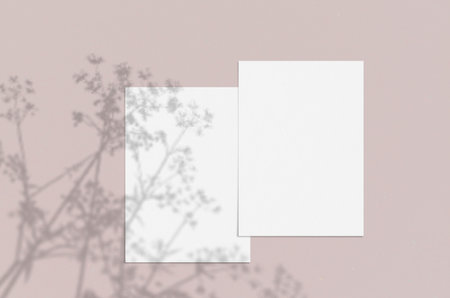 Blank white vertical paper sheet 5x7 inches with shadow overlay. Modern and stylish greeting card or wedding invitation mock up.の写真素材