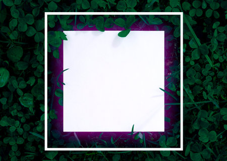 Square frame of leaves with paper card. Blank for advertising card or invitation. Summer poster.の写真素材