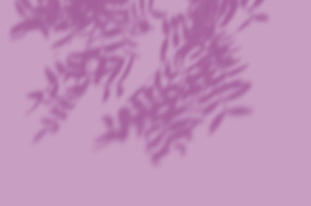 Shadow mockup. Abstract Summer background of shadows branch leaves on a wall for overlaying a photo or mockupの写真素材