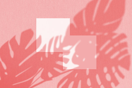 Business card Mockup. Natural overlay lighting shadows the monstera leaves. Square business cards....