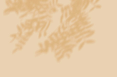 Shadow mockup. Abstract Summer background of shadows branch leaves on a wall for overlaying a photo...