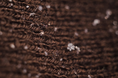 Snow flakes, Snow Crystals, Macro Lens