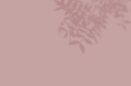 Summer background of shadows branch leaves on a wall for overlaying a photo or mockup
